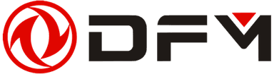 DFM