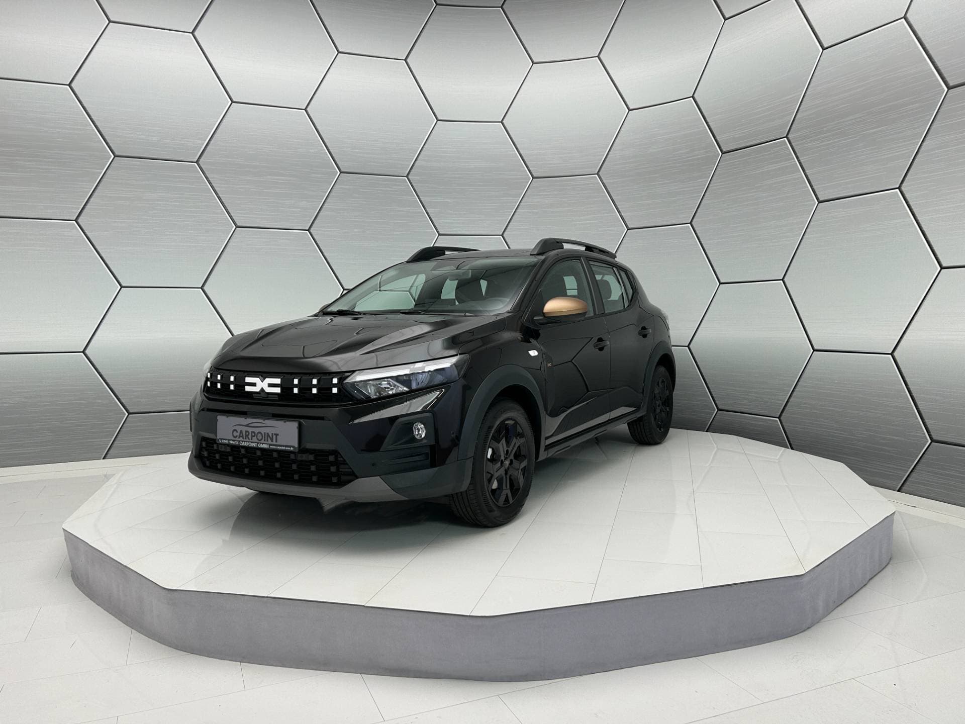 Dacia Sandero Stepway Extreme Eco-G 120 Winter Paket Navi 360°