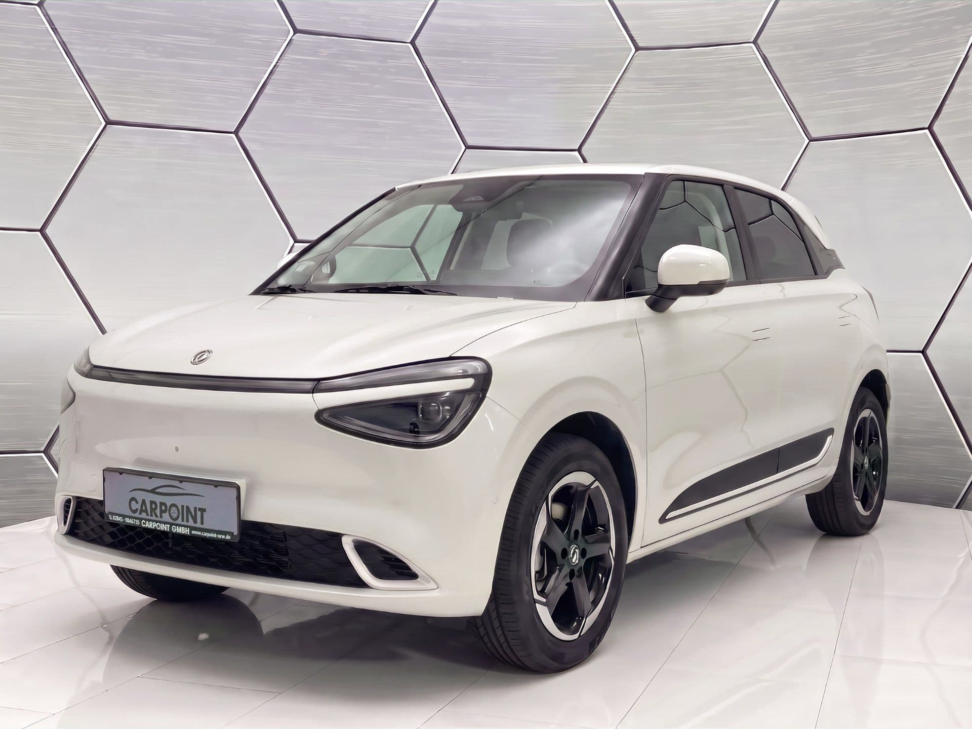 DONGFENG BOX Nammi E3 360 Kamera Leder Vollausstattung